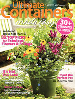 Ultimate Containers Made Easy: 30+ Stunning Combos