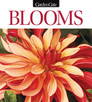 Blooms Issue 4