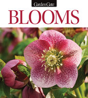 Blooms Issue 6