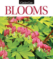 Blooms Issue 7