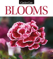 Blooms Issue 8