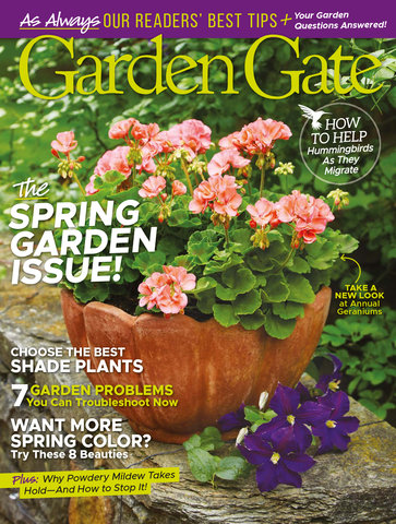 Magazine issue cover