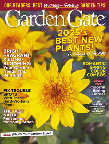 Magazine issue cover